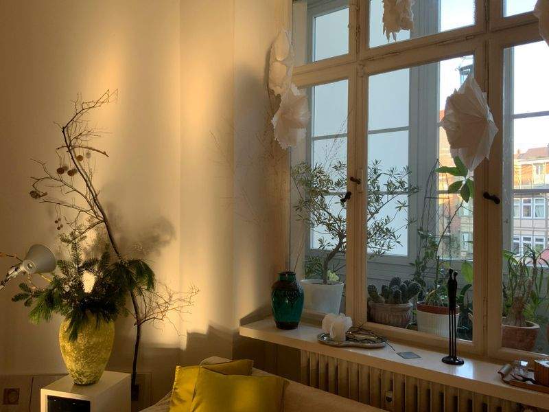 Grünes Paradies Pflanzenstudio - Image 4